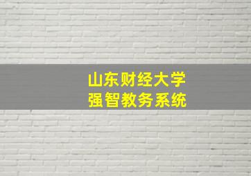 山东财经大学 强智教务系统